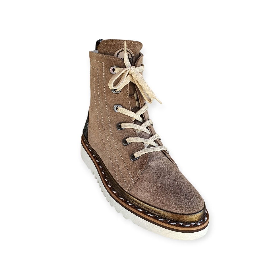 10423 Crosra vison 2